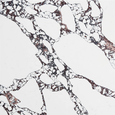 viola-1